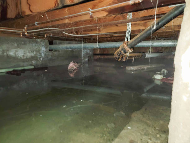 Best Basement water damage restoration  in Ata, OK