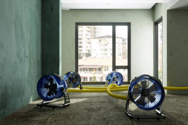 Best Water damage contractors near me  in Ata, OK